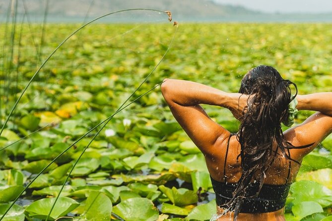 1-hour Kayak Adventure through Skadar Lake from Virpazar - Key highlights before you paddle