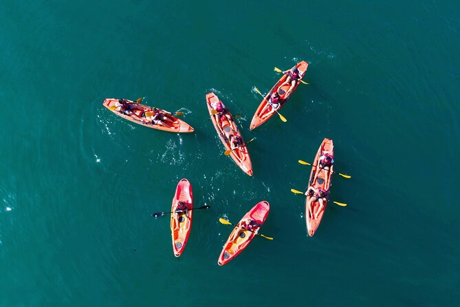 3 Hours Kayaking in Kotor Bay in Montenegro - Key Things That Make This Kayak Trip Work
