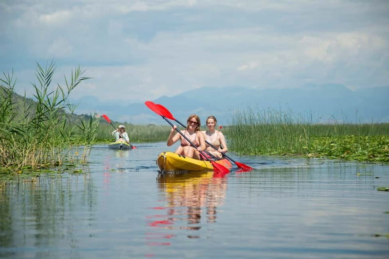 All Day Self-Kayaking to secret spots and wildlife observing - Why Skadar Lake kayaking feels different from a typical boat ride