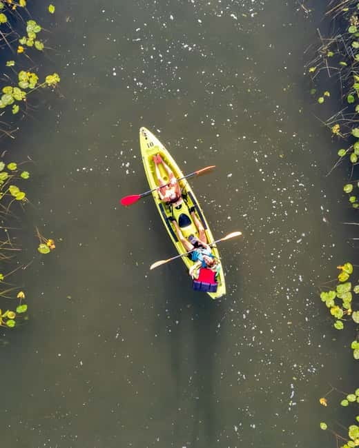 All Day Self-Kayaking to secret spots and wildlife observing - The secret stop: guided time, then your own exploring