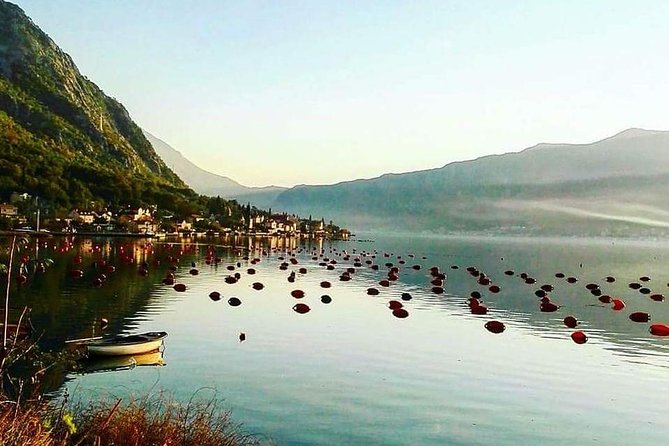 Around Boka Bay Private tour - Stop 2: Perast Museum and the Seaside Feel