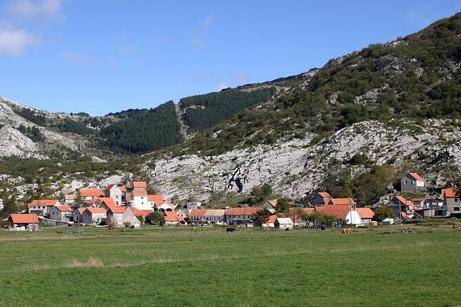 Bike tour - Panoramic downhill from Njeguši and Kotor serpentines - Njeguši to Kotor downhill, planned for fun in 3 to 4 hours