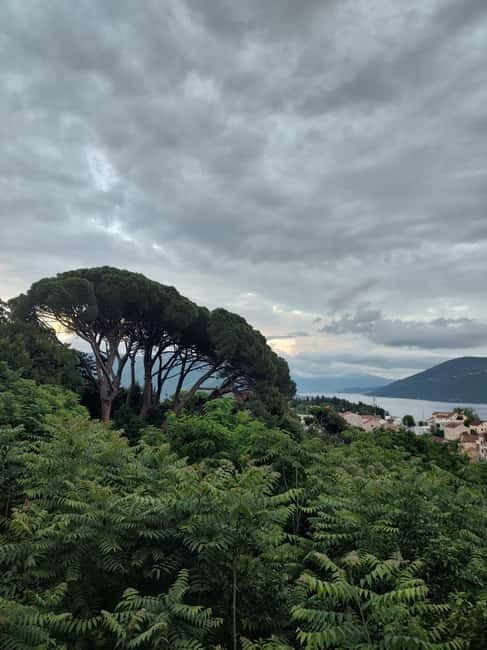 Boka Bay private guided tour to Kotor, Perast and Our Lady - Language, Guide Style, and What You Get Beyond Facts