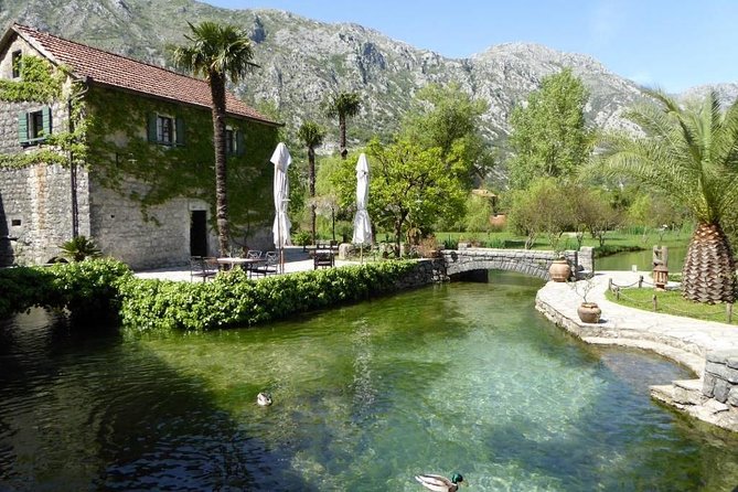 Boka Bay tour by car or speedboat (Private tour) - Price and Value: What $196.46 Per Person Buys You