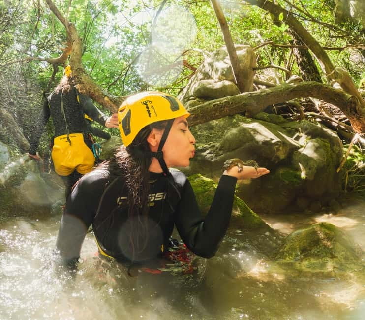 Budva Canyoning: Drenostica Canyon Adventure - Drenostica Canyon: why this canyoning run feels special near Budva