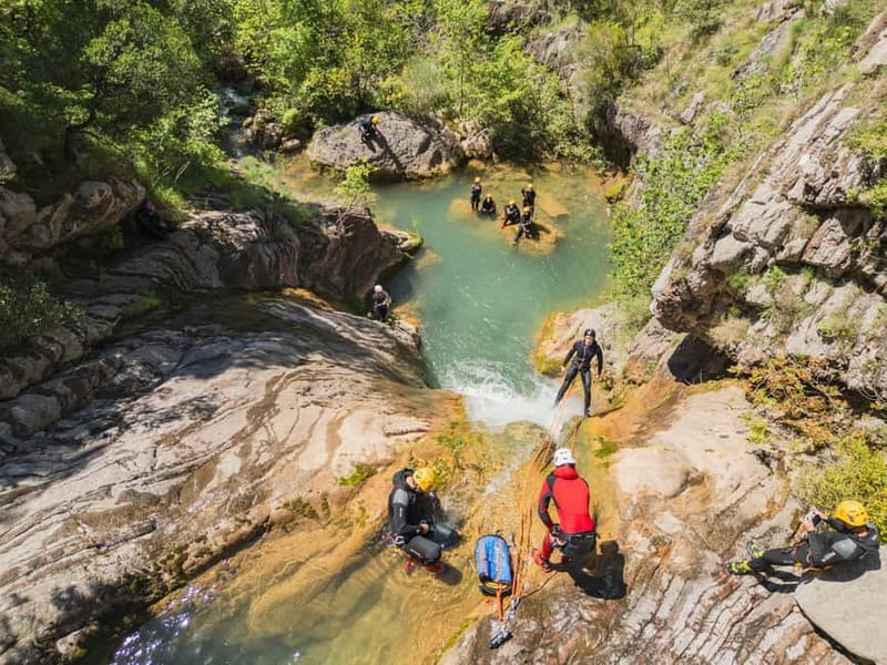 Budva Canyoning: Drenostica Canyon Adventure - The river walk and spotting wildlife in the water