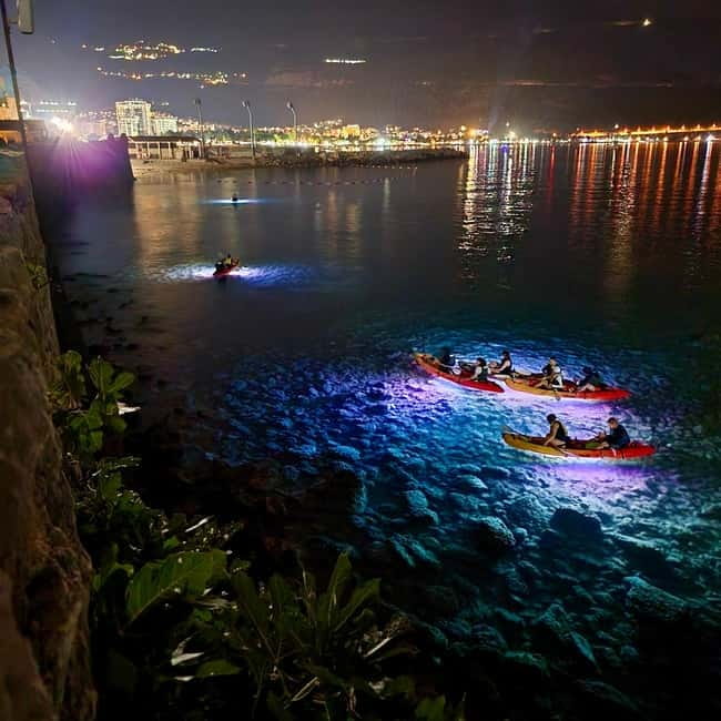 Budva: Night Lights Kayaking Tour - Key highlights you’ll feel right away