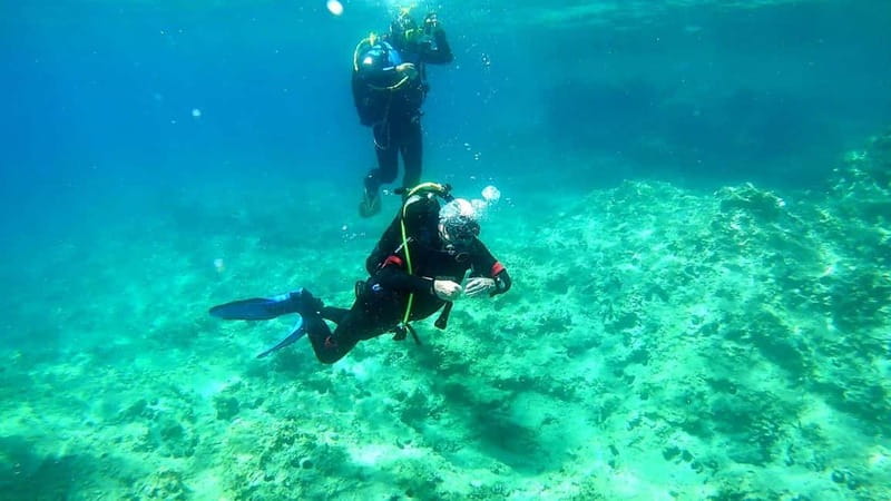 Budva: Scuba Diving Experience - Key highlights worth planning for