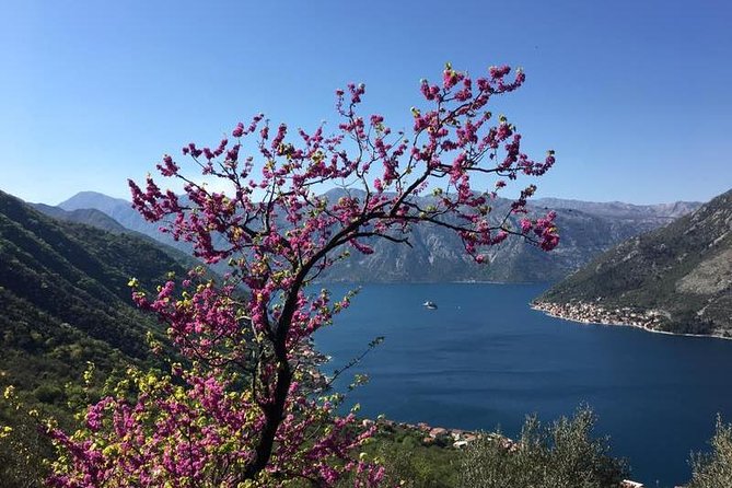 Cycling and hiking short tour through the bay of Kotor - Stop 2: Kotor beach, hike to the abandoned village viewpoint