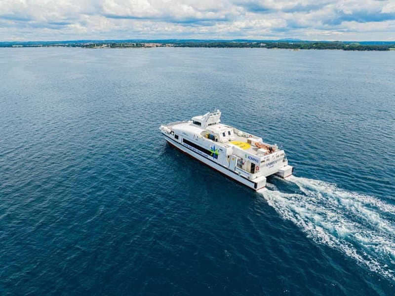 Dubrovnik to/from Kotor: Day Trip or One-Way by Fast Ferry - On board: what the catamaran ride feels like