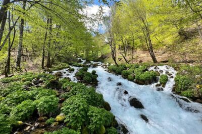 Durmitor – Black Lake & Tara River Canyon – North Montenegro tour