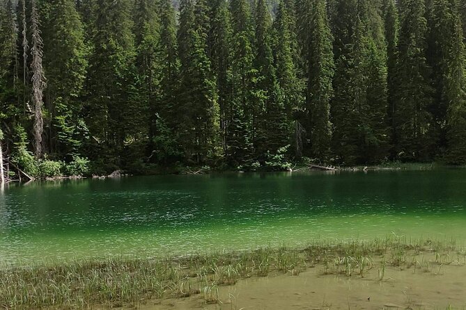 Durmitor National Park hiking tour - easy to moderate - Bašća Village (Moderate Option): Rural Quiet in 20 Minutes