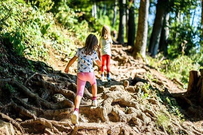 Durmitor National Park hiking tour - easy to moderate - The Big Picture Itinerary, in Plain Walking Terms