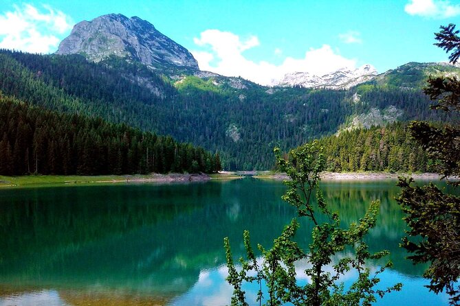 Durmitor National Park, Northern Fairy Tail -private tour from Podgorica - Plužine and the Panoramic Ring Road: Where the Stops Feel Like Part of the Scenery