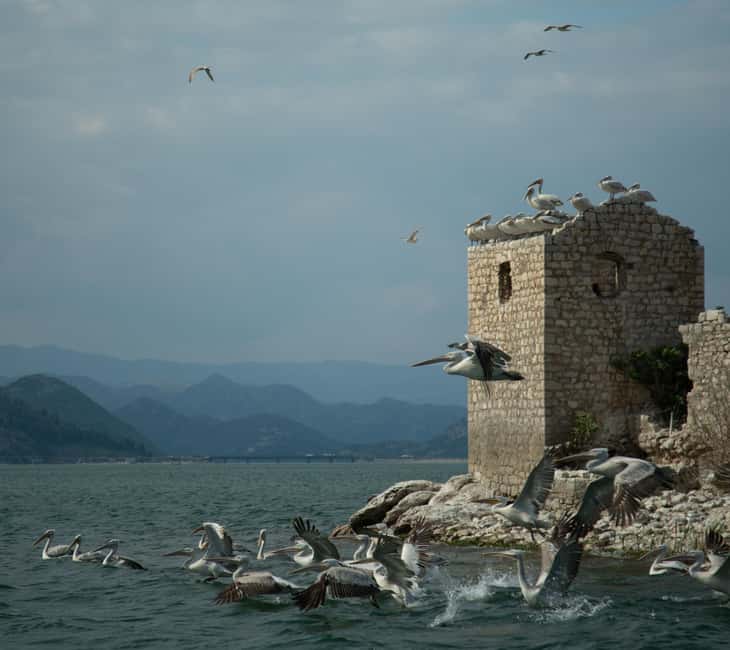Experience Skadar Lake in 1h! - The secluded beach stop and lake swim moment
