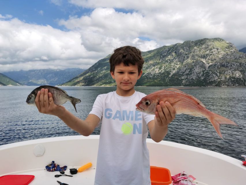 From Bay of Kotor: Blue Cave Private Speedboat Tour - Former submarine tunnels and Mamula island, WWII memory with real context