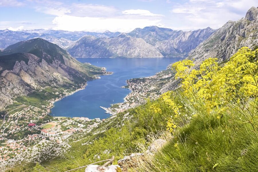 From Dubrovnik: Montenegro Day Trip - The Optional Budva Add-On: Small Group Tour Includes a Third Town