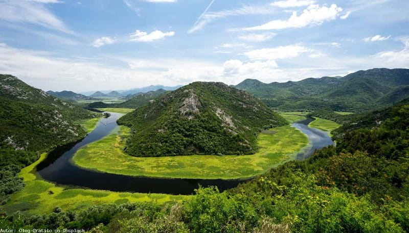 From Kotor, Budva, Tivat: Skadar Lake Boat Tour & Wine - Price and logistics: what $318 buys you, and how to judge the value