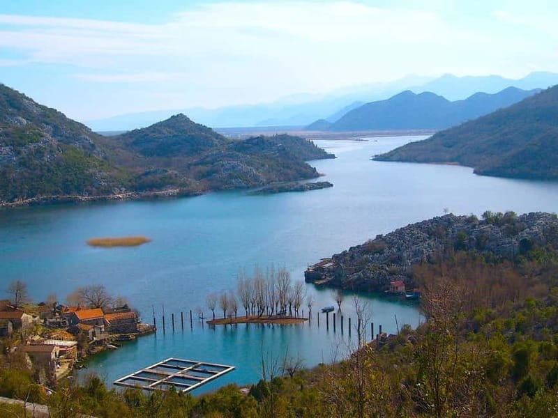 From Kotor, Budva, Tivat: Skadar Lake Boat Tour & Wine - Who should book this Skadar Lake tour, and who might want to skip it