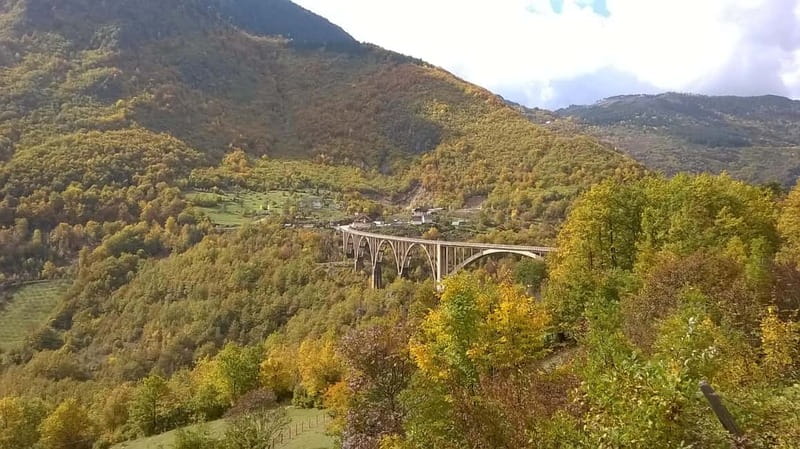 From Podgorica: Durmitor NP & Tara canyon-Amazing Montenegro - Durmitor National Park and Black Lake: The Stop That Sets the Mood