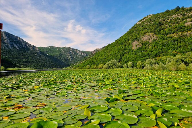From Virpazar: Visit Karuč, the hidden pearl of Lake Skadar - Price, Inclusions, and How This Compares for 4 Hours