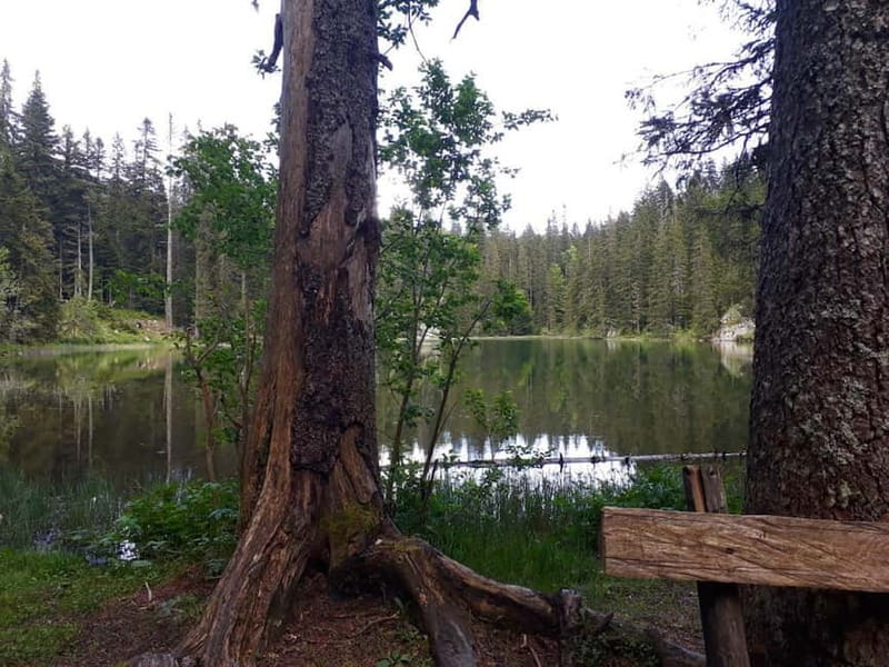 From Žabljak: Durmitor National Park Private Hiking Tour - Why this Durmitor private hike is a great alternative to Black Lake-only