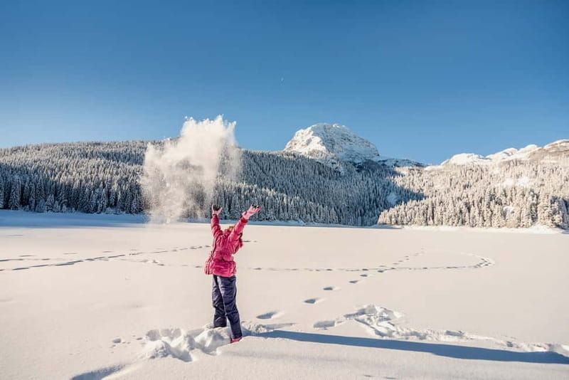 From Žabljak: Durmitor National Park Private Hiking Tour - Price and value for a $137 private 3.5-hour hike