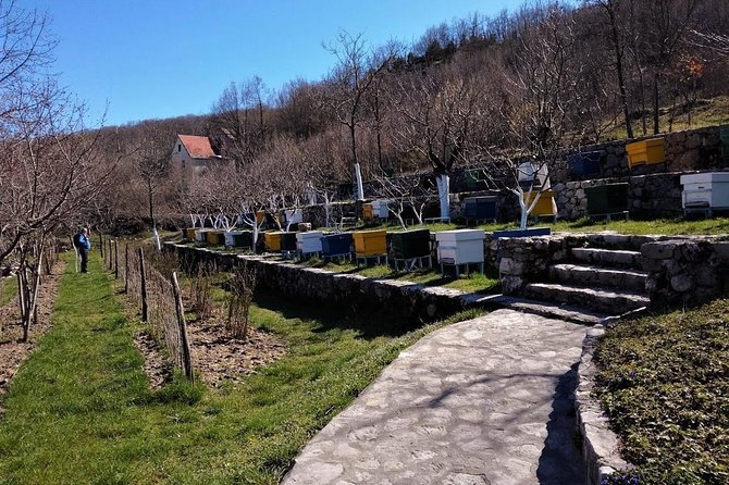 Gastronomy and Sightseeing in Montenegro - Lake Skadar & Cetinje Private Tour - Key things I’d put on your radar