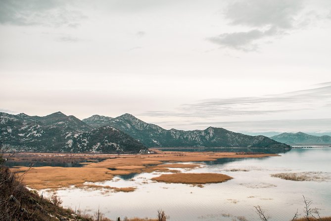 Gastronomy and Sightseeing in Montenegro - Lake Skadar & Cetinje Private Tour - Stop 2: Rvaši winery visit, a family tradition you can actually taste