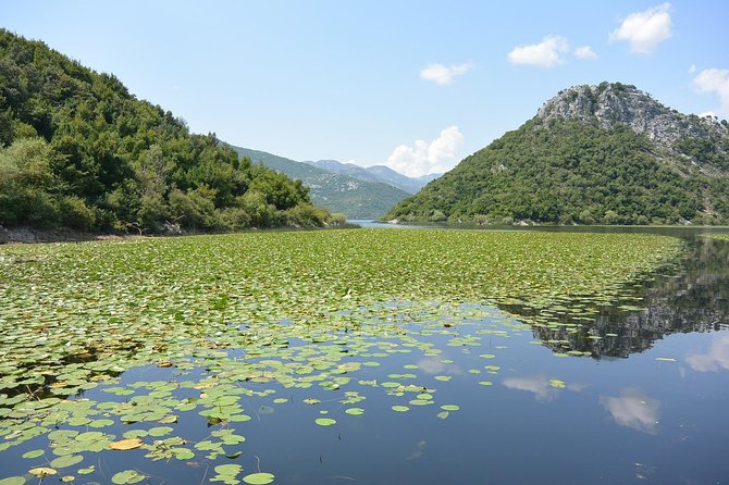 Gastronomy and Sightseeing in Montenegro - Lake Skadar & Cetinje Private Tour - Food and drink included: what you’re really paying for with this private route