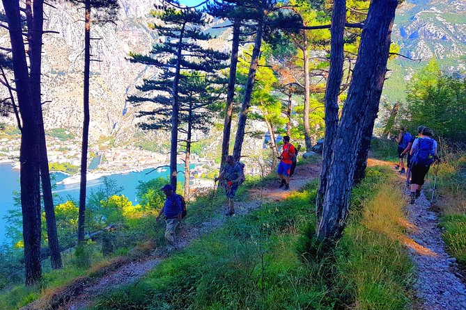 Hiking Vrmac peninsula with panoramic view on Kotor bay - The guided hike: setting a pace that matches your legs