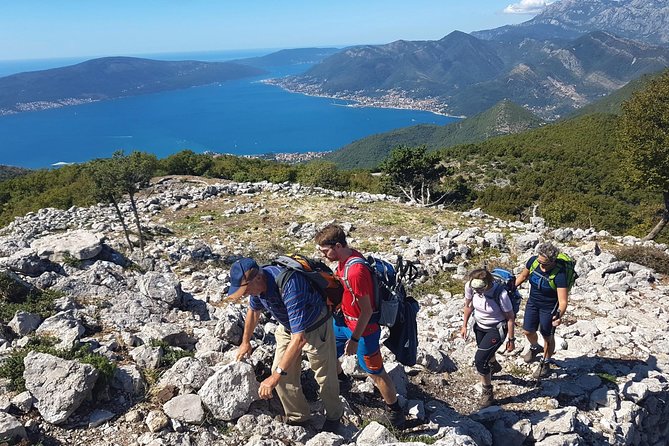 Hiking Vrmac peninsula with panoramic view on Kotor bay - Price and value: what $114.48 gets you on a half-day hike