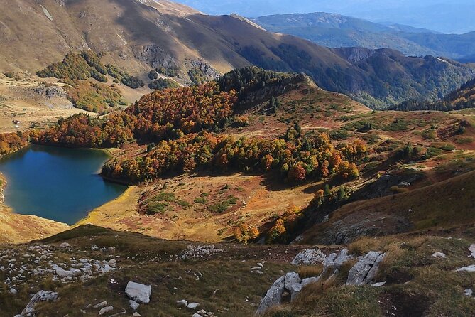 Jeep tour in National park Biogradska gora - Why This Biogradska Gora Jeep Day Works So Well