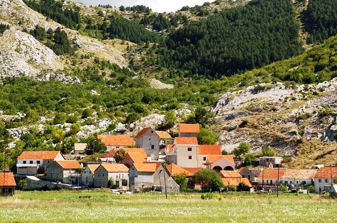 Jeep tour in National park Lovcen - Price and value for up to four people