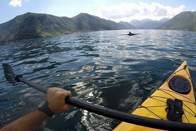 Kayak active tour - The 3.5-hour rhythm: paddling, Prčanj, and time to actually enjoy it