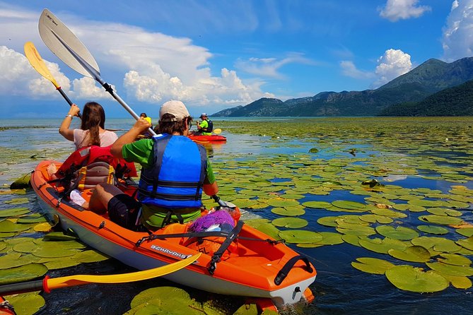 Kayak Guided Tour Skadar lake - Adventure in National park - Key highlights you will feel right away