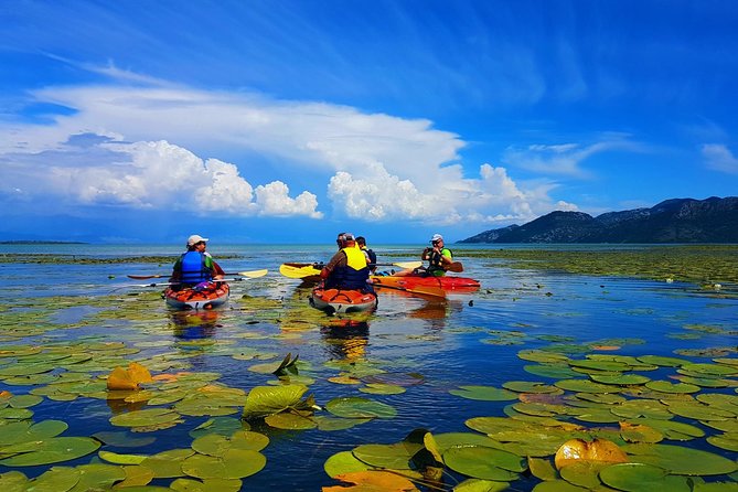 Kayak Guided Tour Skadar lake - Adventure in National park - Stop 3: Pelinovo Plaja, swim time, and a drink included