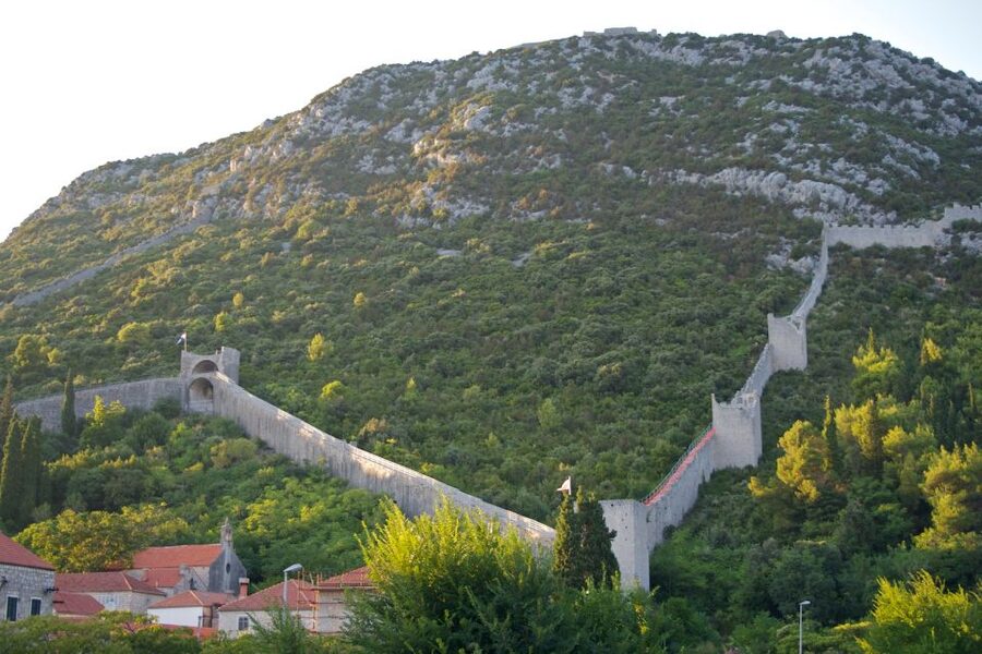 Korčula & Ston Full-Day Private Tour from Dubrovnik - Wine Tasting on Pelješac: Local Taste, Not a Tourist Token