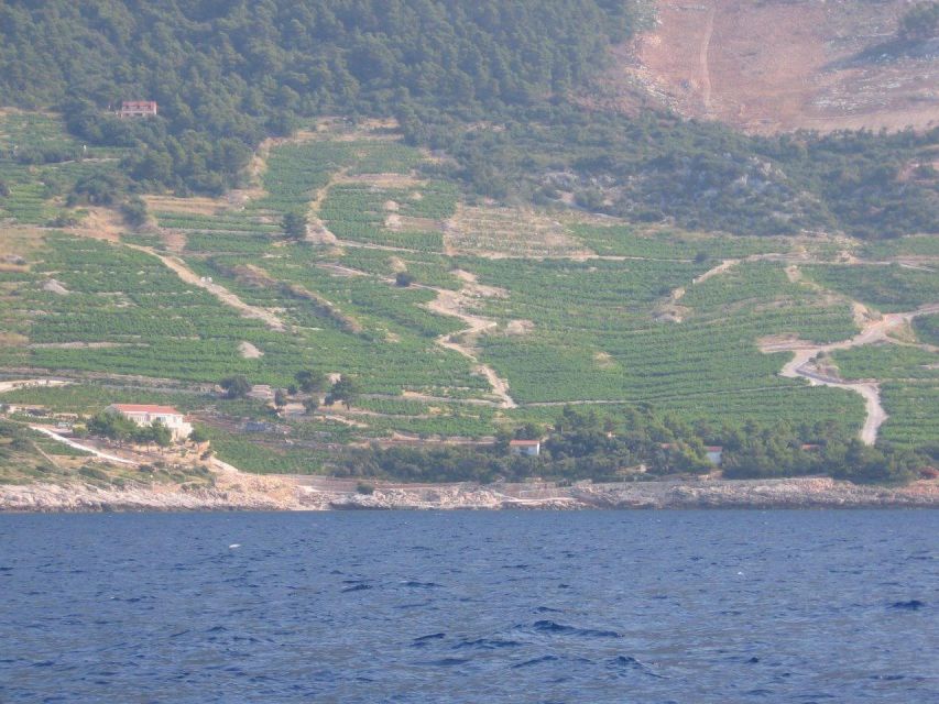 Korčula & Ston Full-Day Private Tour from Dubrovnik - Ston Salt Flats and the Walls of the Ragusan Republic