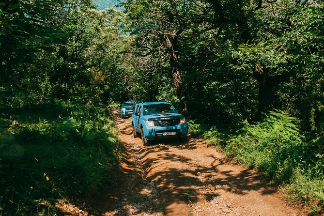 Kotor Jeep Tour: Hidden Stone Village & Food Tasting - Up to Gornji Stoliv by Jeep, Trading Coast for Chestnut Forest