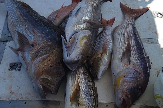 Kotor Private Fishing Adventure Blue Cave And Lunch - Stop 2: Blue Cave Fishing for the Biggest Catch (About 2 Hours)