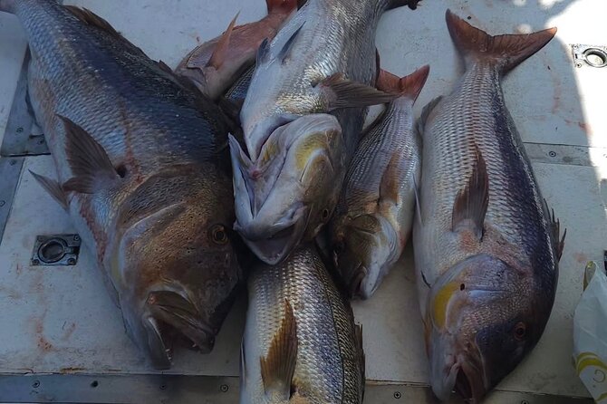 Kotor Private Fishing Adventure Blue Cave And Lunch - How to Think About Lunch During a 4-Hour Fishing Tour