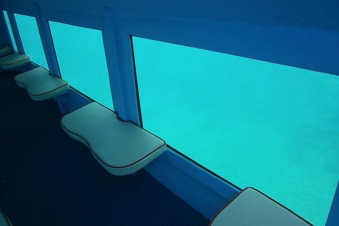 Kotor Red Semi-Submarine Tour: Underwater Cabin Family Adventure - Timing and visibility: how to set your expectations