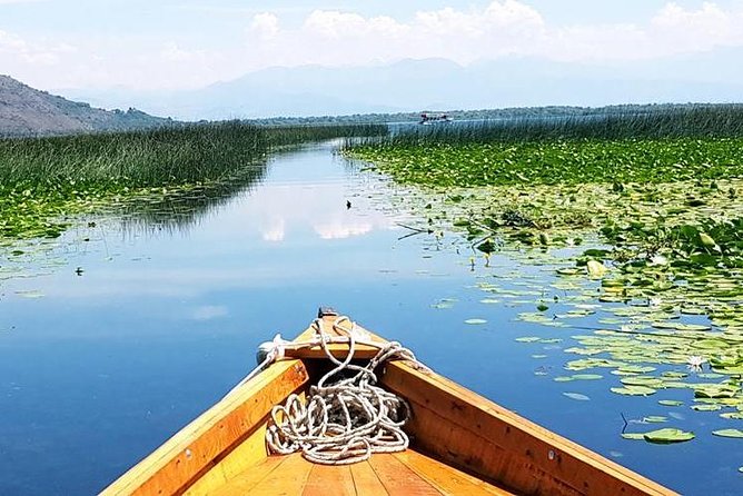 Kotor Tour: Budva Old Town, Sveti Stefan & Skadar Lake Boat Trip - Why Skadar Lake feels like a different Montenegro