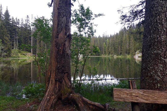 Kotor Tour to Durmitor - Black Lake & Tara River Bridge - Durmitor National Park time: why the extra hours help