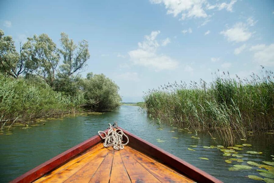 Lake Skadar: Guided Nature Cruise with Drinks - Who Should Book This Lake Skadar Cruise (and Who Might Skip It)