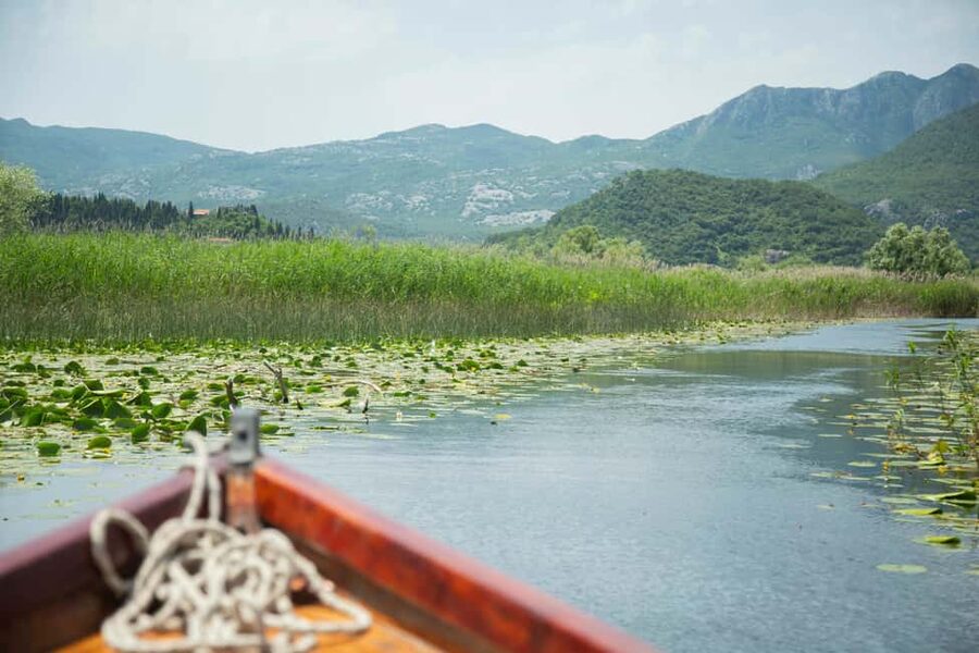 Lake Skadar: Guided Nature Cruise with Drinks - The Swim Pause and the Short “Secret Stop” Break