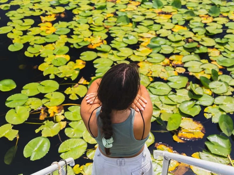 Lake Skadar National Park: Visit the Montenegrin Venice - Lake Skadar’s Montenegrin Venice vibe, and why this tour works