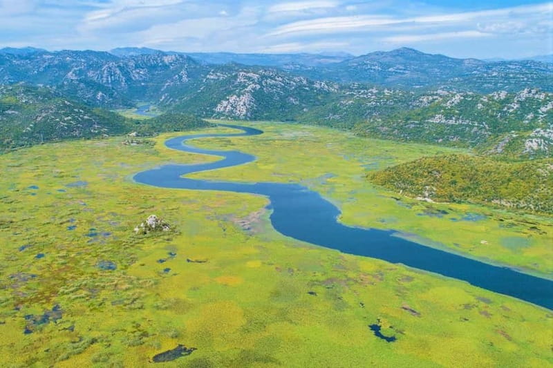 Lake Skadar National Park: Visit the Montenegrin Venice - The water lily spectacle: thousands of leaves, close enough to count