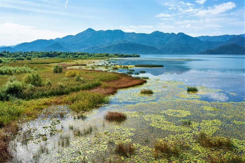Lake Skadar National Park: Visit the Montenegrin Venice - Morača River and the three island direction you can feel in your body